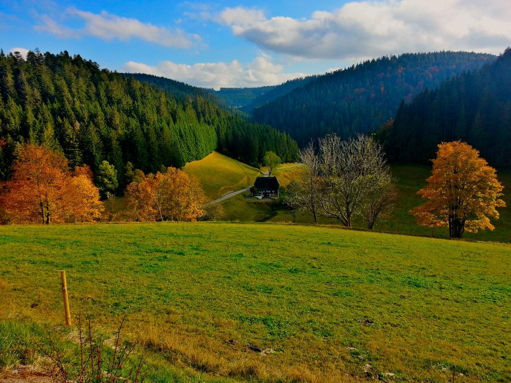 Outdoor & Relax Blackforest Neukirch Kültér fotó